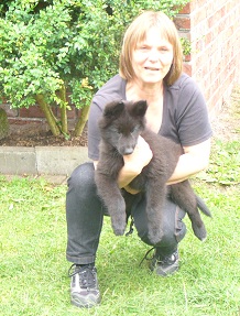 Blue Ocean de Geracao nova